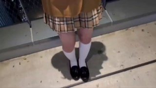 王子的本命是恶役千金全集在线观看高清蓝光在线观看...